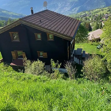 Domek alpejski Chalet Maria 120 M2